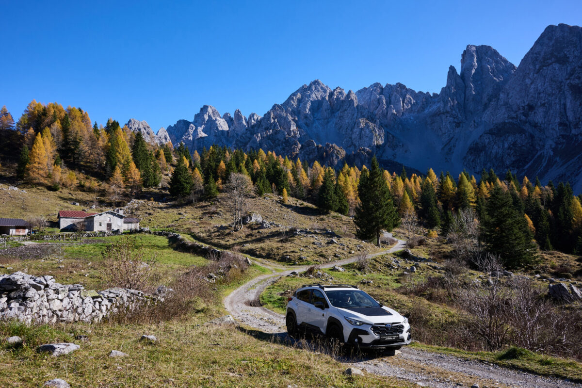 Crosstrek 4WILD (7) Crosstrek 4WILD (7)